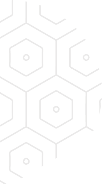 main bg